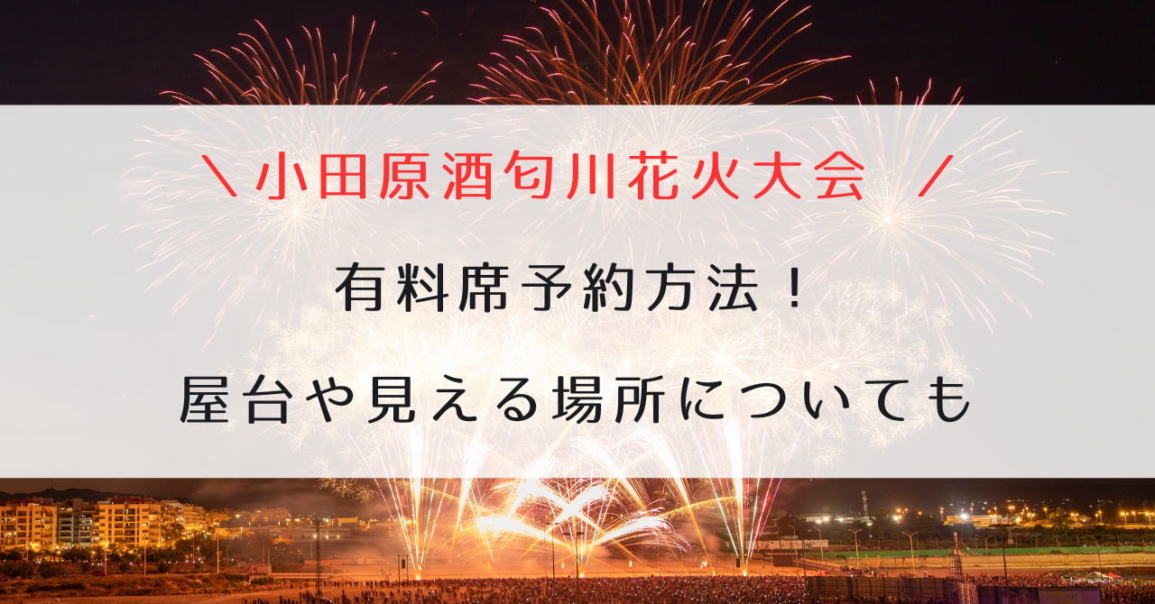 小田原酒匂川花火大会2023有料席予約方法！屋台や見える場所についても